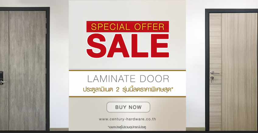 SPECIAL OFFER SALE for Laminate Door